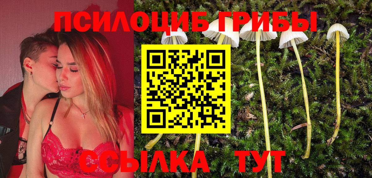 Егорьевск  Галлюциногенные грибы мухоморы  Вход с VPN  Псилоцибиновые грибы прущие грибы 